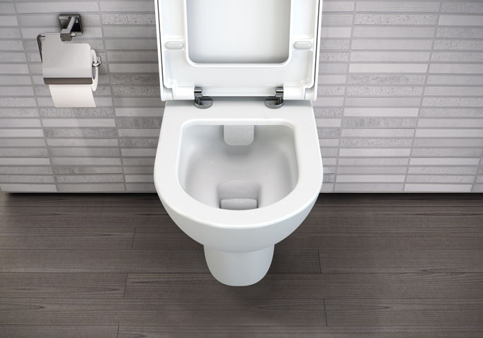 картинка Унитаз подвесной Vitra Zentrum Rim-Ex с крышкой 94-003-009 