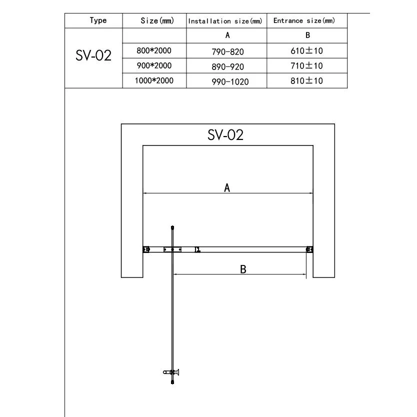 картинка Душевая дверь RGW SV-02 06320210-11 