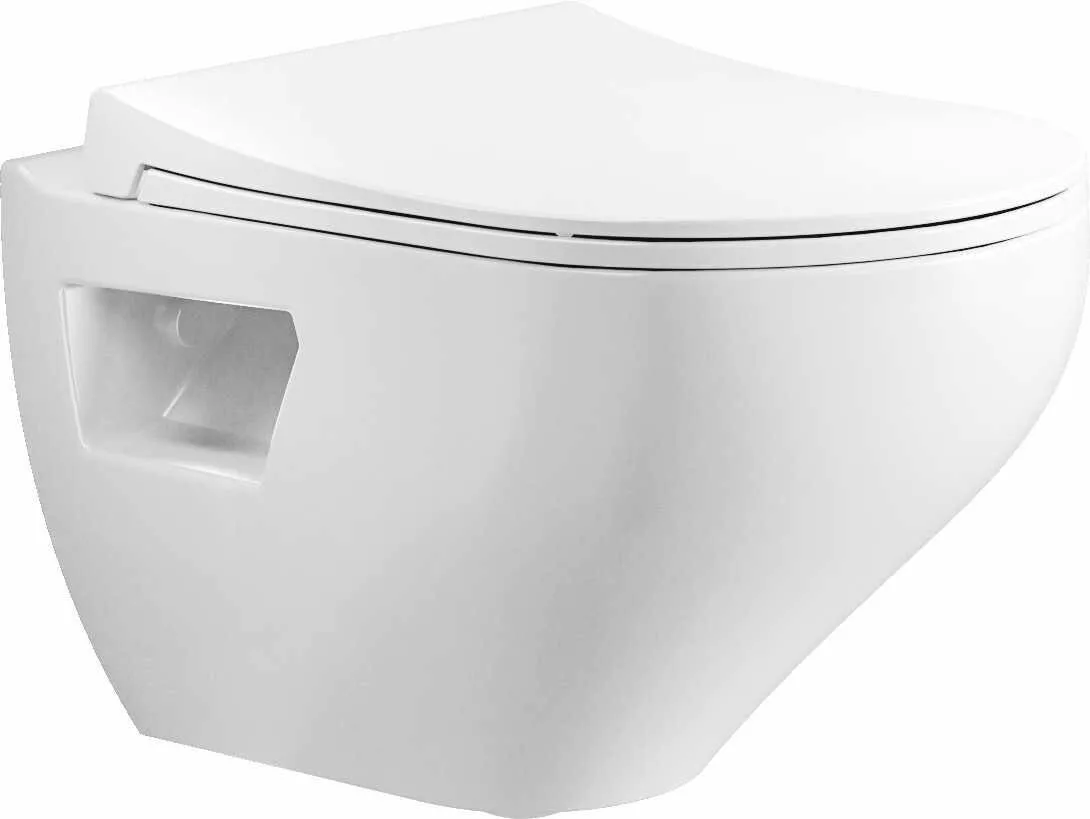картинка Унитаз подвесной Bien ION безободковый с функцией биде и гигиеническим покрытием, сиденье микролифт 