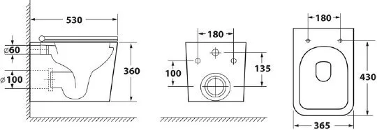 картинка Унитаз подвесной Owl 1975 Ruta-H OWLT190401 безободковый 