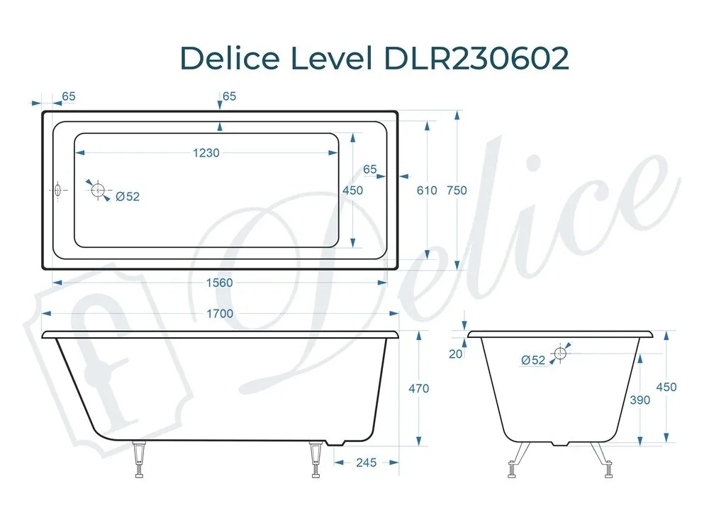 картинка Ванна чугунная Delice Level 170х75 DLR230602 