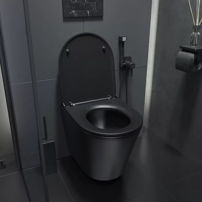 картинка Унитаз подвесной Iddis Calipso CALR3BMi25 черный 