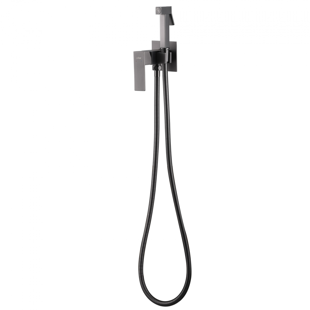 картинка Смеситель ABBER Daheim AF8226NG с гигиеническим душем никель 