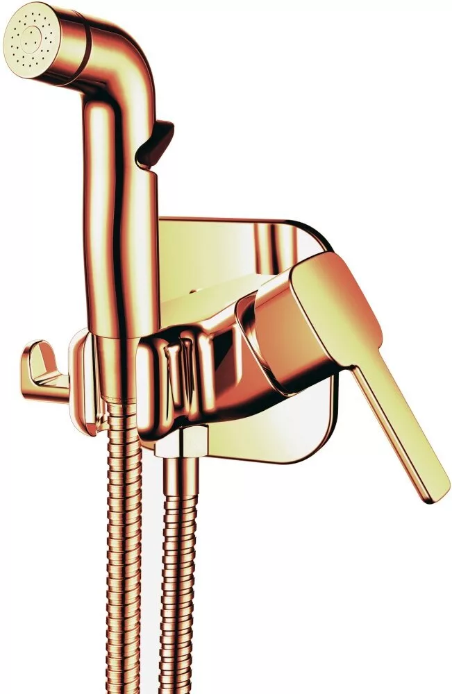 картинка Смеситель с гигиеническим душем RUSH Capri встраиваемый, бронза CA1435-99BR 