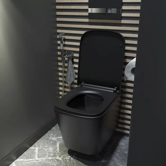 картинка Унитаз подвесной Iddis Bild BILR2BMi25 черный 