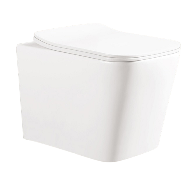 картинка Унитаз Ceruttispa MAIELLA Aria UF подвесной безободковый CT10480 490x340x360 