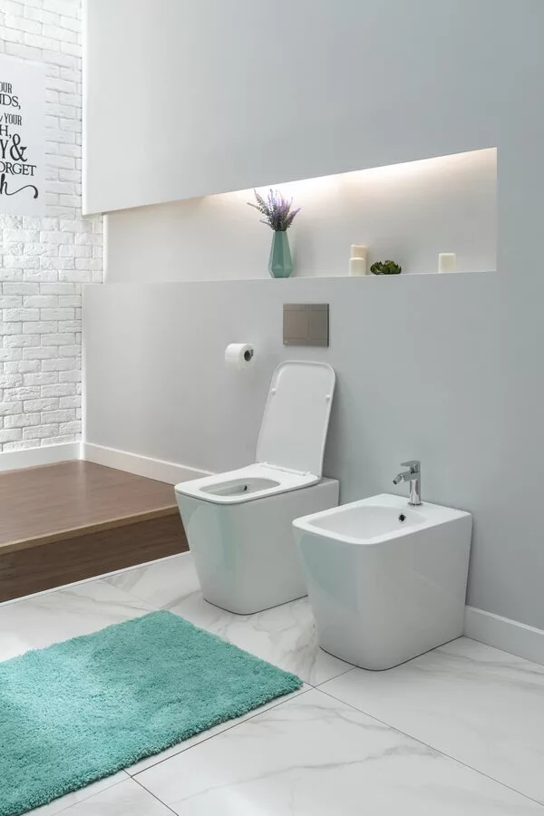 картинка Биде напольное Aquanet Tavr 2.0 B1 LX-1062 
