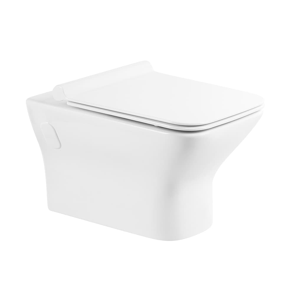 картинка Чаша для унитаза подвесного BelBagno Romano BB248CHR