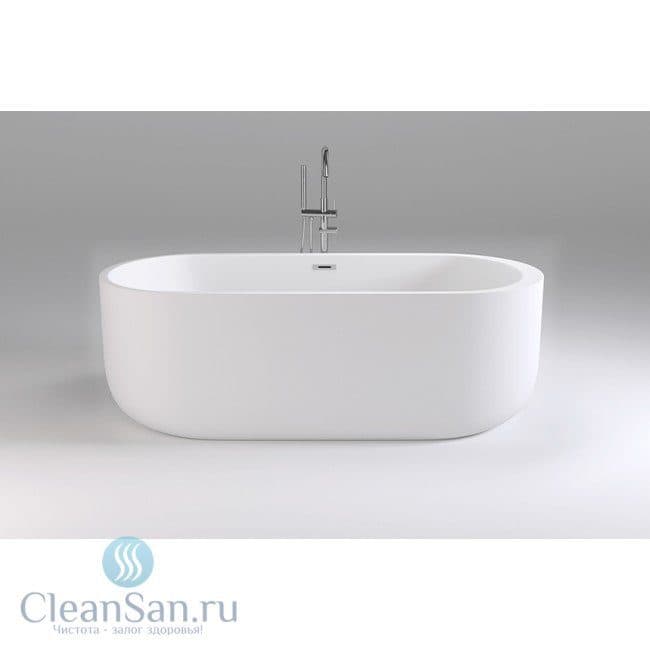 картинка Акриловая ванна Black&White Swan SB109 