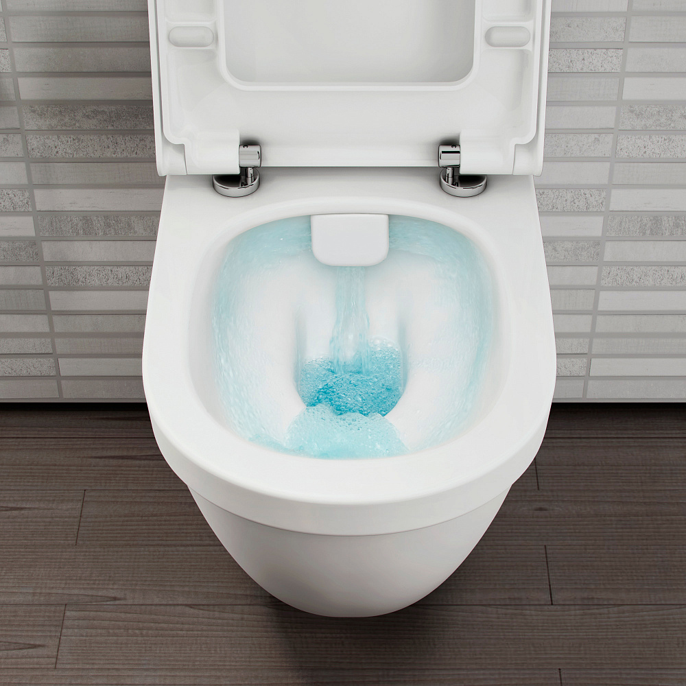 картинка Унитаз подвесной Vitra S50 Rim-Ex с крышкой 110-003-019 