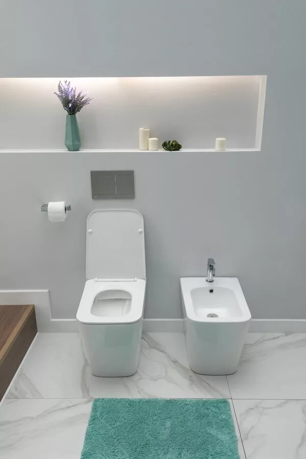 картинка Биде напольное Aquanet Tavr 2.0 B1 LX-1062 