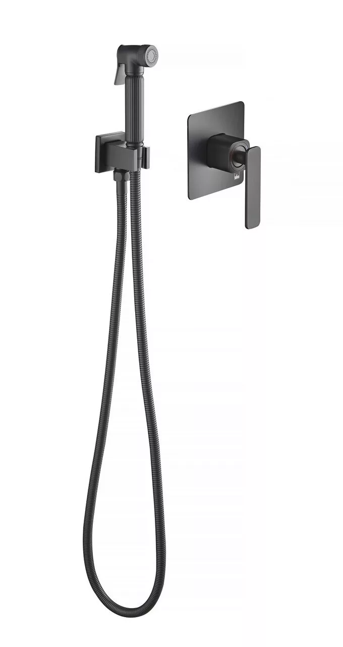 картинка Смеситель встроенный с гигиеническим душем Timo Torne 4389/03SM черный 