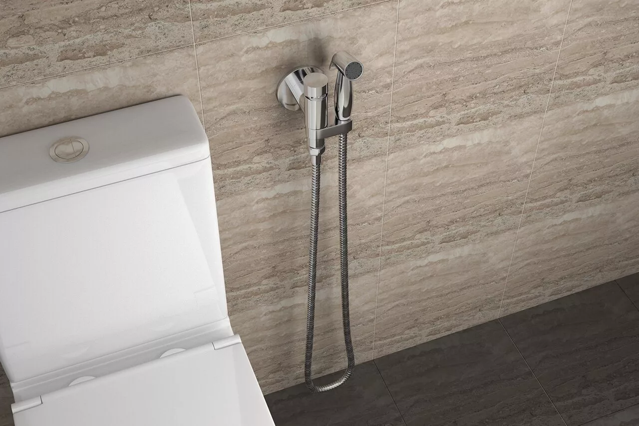 картинка Смеситель с гигиеническим душем Bravat Eler D9137CP-RUS 